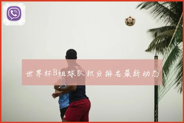 世界杯B组球队积分排名最新动态