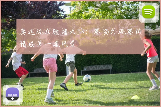 奥运观众脸谱大pk：赛场外观赛热情成另一道风景