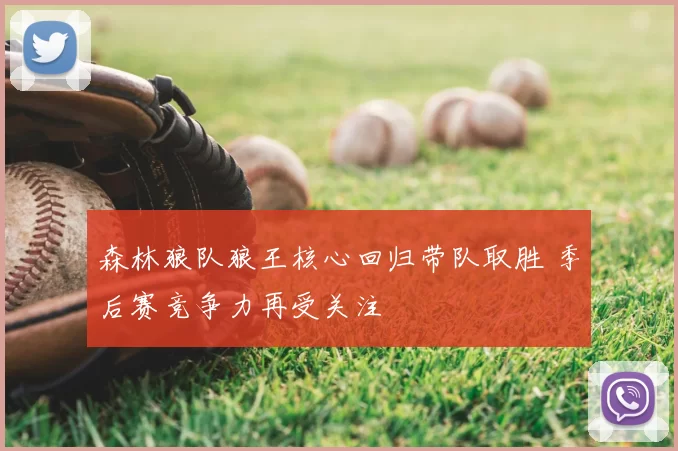 森林狼队狼王核心回归带队取胜 季后赛竞争力再受关注