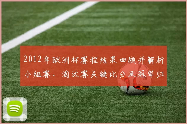 2012年欧洲杯赛程结果回顾并解析小组赛、淘汰赛关键比分及冠军归属
