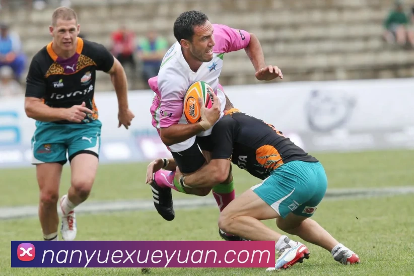 九游j9官网在线平台生态图